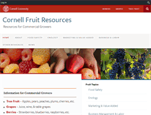 Tablet Screenshot of fruit.cornell.edu
