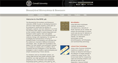 Desktop Screenshot of biosensors.bee.cornell.edu